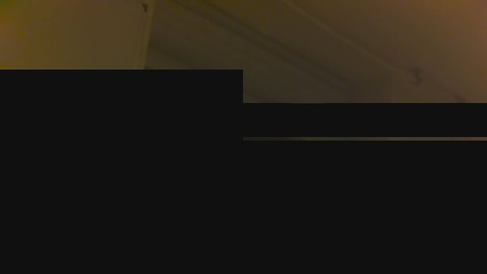 delayed-bottom-pixels